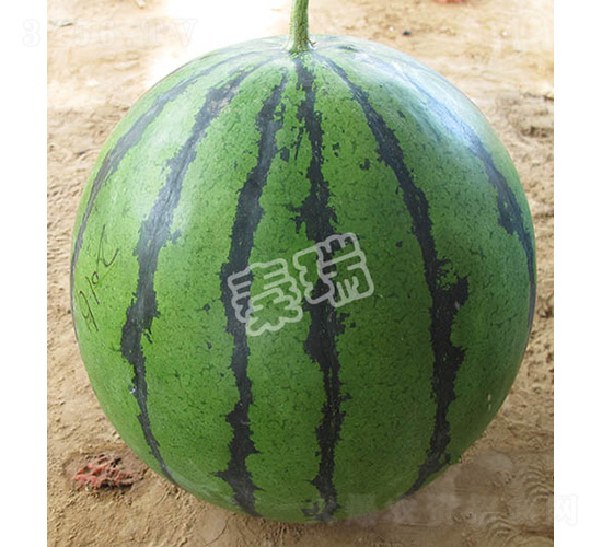 ����863-��������-����