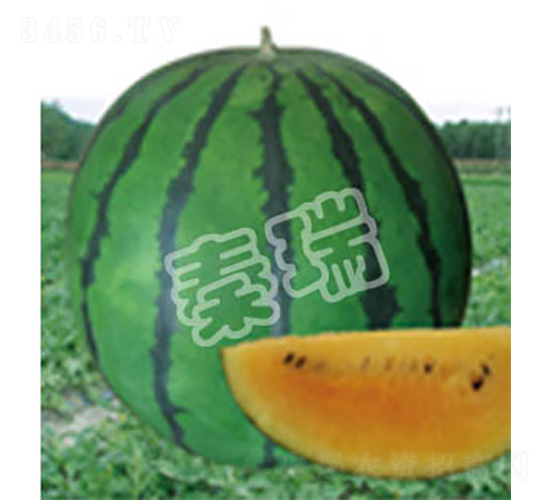 �ʺ�-��������-����
