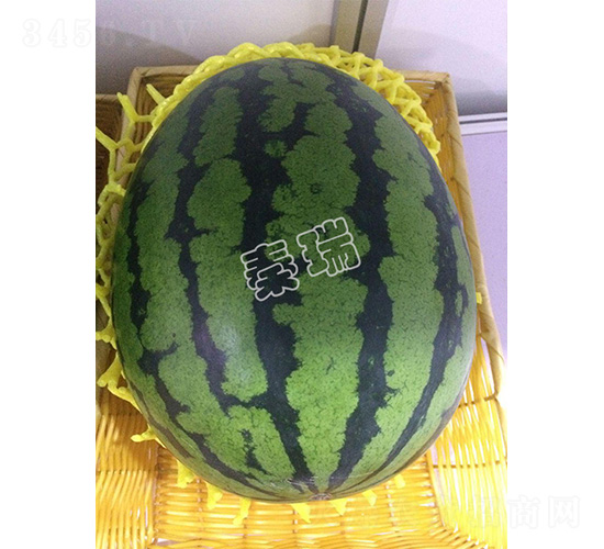 ��������2��-��������-����