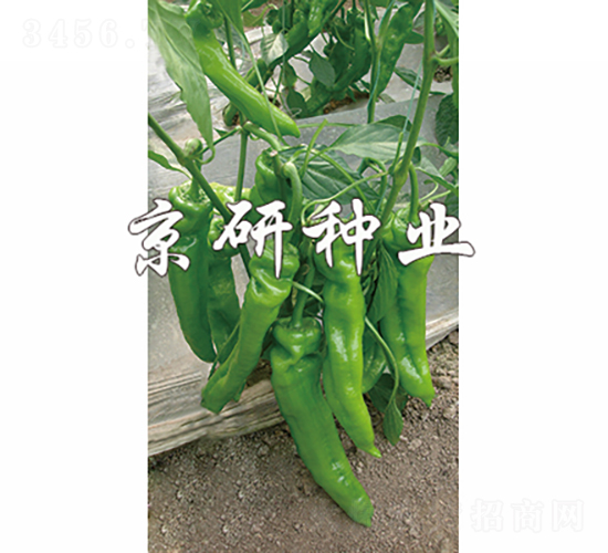 ����308-��������-������ҵ