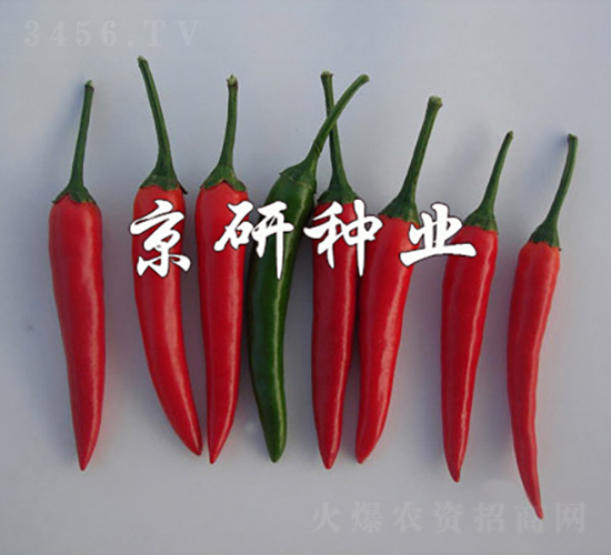 ����112-��������-������ҵ