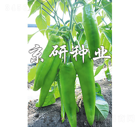 ����910-��������-������ҵ