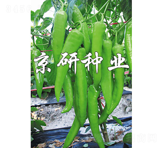 ����912-��������-������ҵ