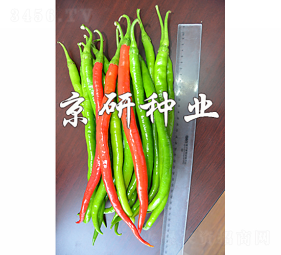 ����114-��������-������ҵ