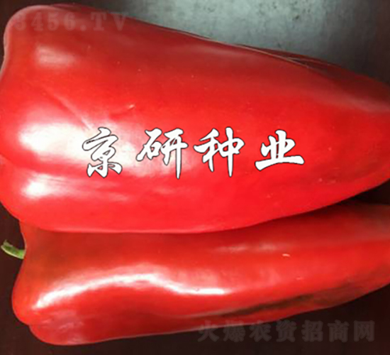��˶160-��������-������ҵ