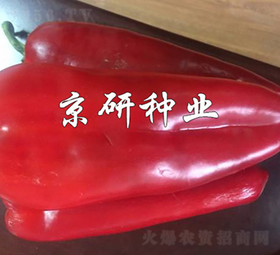 ��˶205-��������-������ҵ