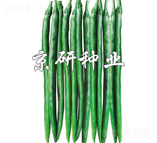 ����1629-��������-������ҵ