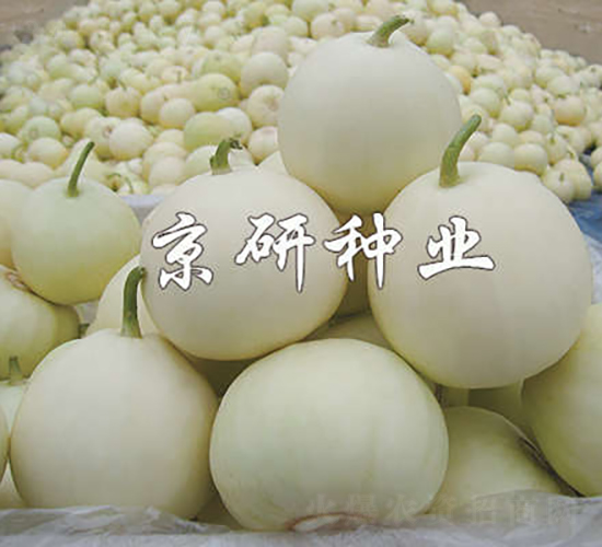 ����352-�������-������ҵ