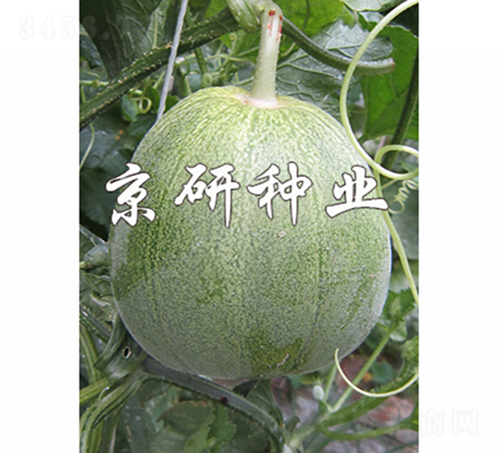 ����848-2-�������-������ҵ