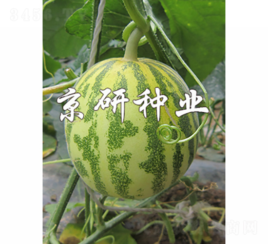 ����850-2-�������-������ҵ