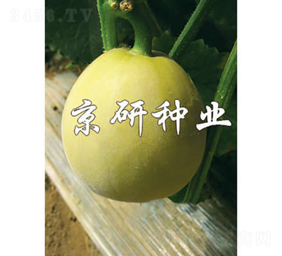 ����417-�������-������ҵ