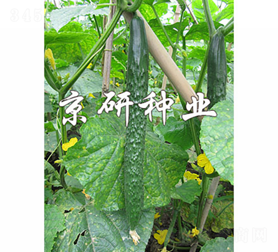 ���д�����3��-�ƹ�����-������ҵ