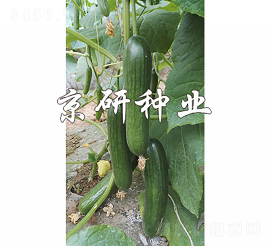 �̾���10��-�ƹ�����-������ҵ