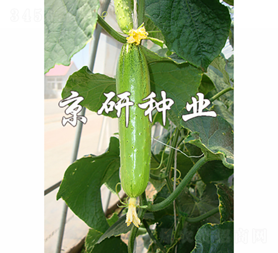 ���к���5��-�ƹ�����-������ҵ