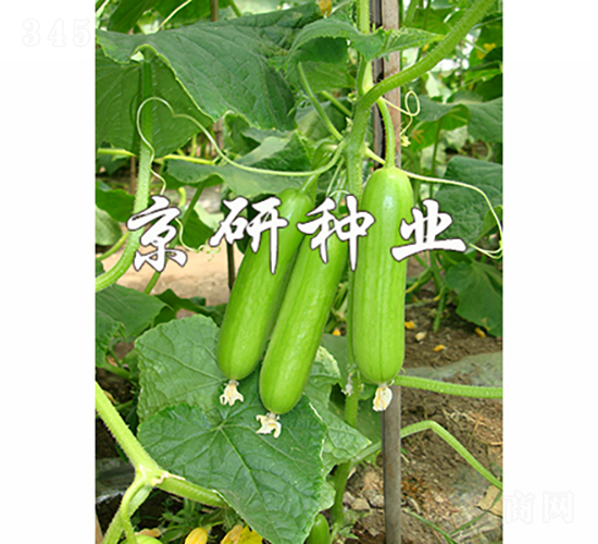 ���д�������2��-�ƹ�����-������ҵ