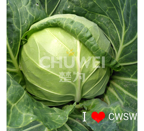��Բ��104-��������-��Ϊ����