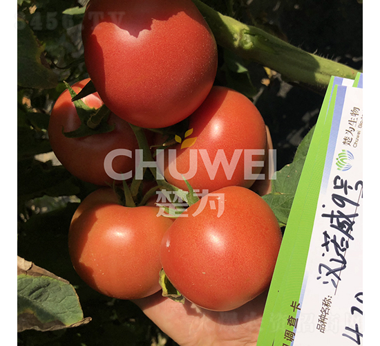 ��ŵ��9��-��������-��Ϊ����