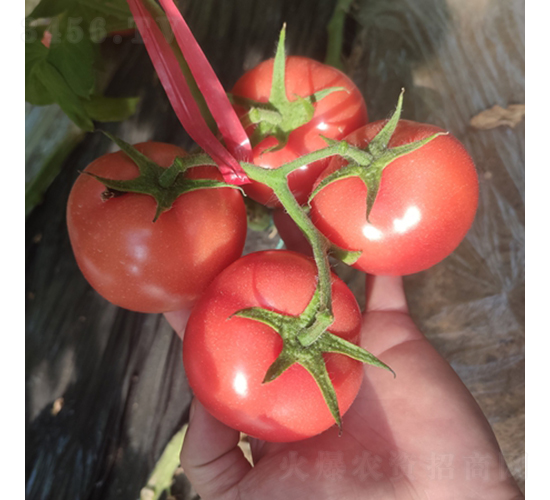 ��ΪS351-��������-��Ϊ����