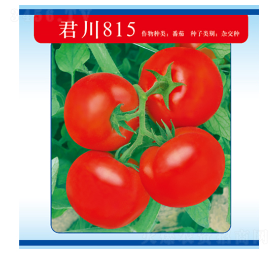 ����815-��������-������ҵ