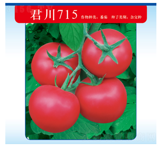 ����715-��������-������ҵ