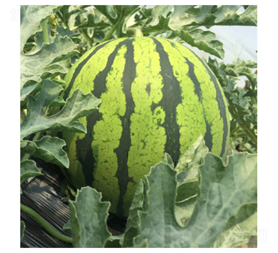 ����189-��������-������ҵ