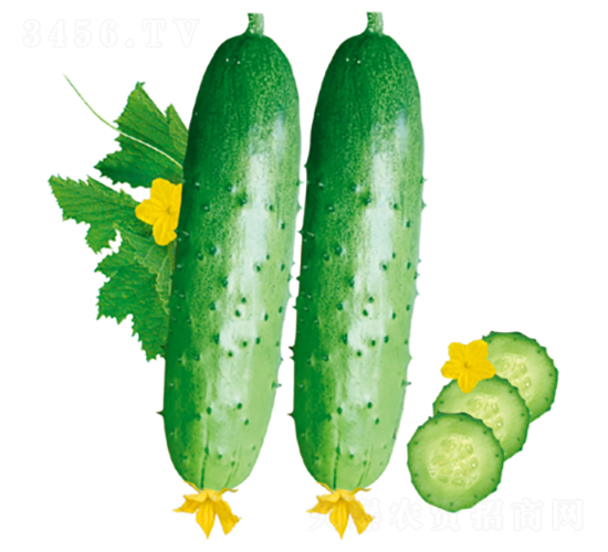 ����103-�ƹ�����-������ҵ