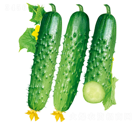 ����101-�ƹ�����-������ҵ