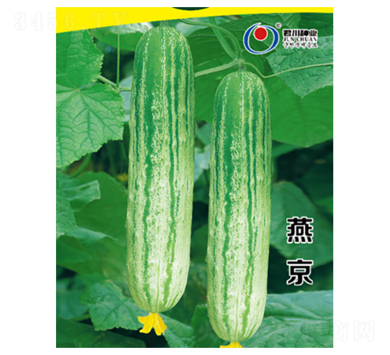 �ྩ-�ƹ�����-������ҵ