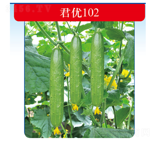 ����102-�ƹ�����-������ҵ
