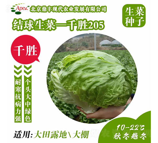 ǧʤ205-��������-����ũҵ