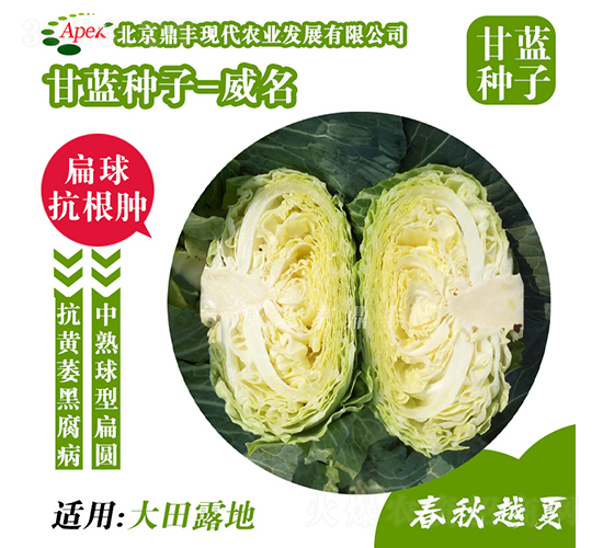 ����177-��������-����ũҵ