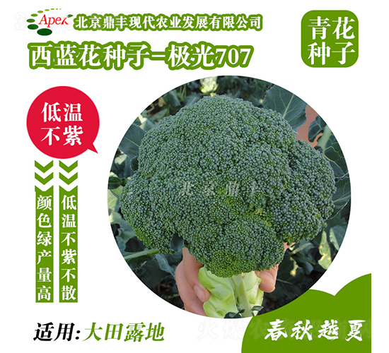 ����707-�໨����-����ũҵ