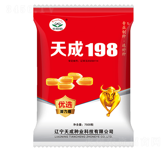 ��������-���198-ũ����-�����ҵ