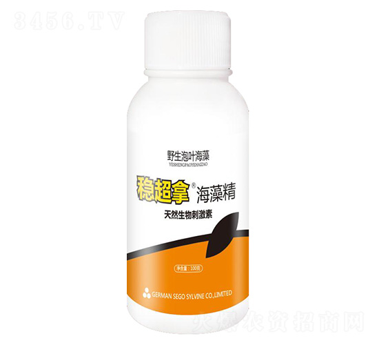 �ȳ��ú��徫-����������