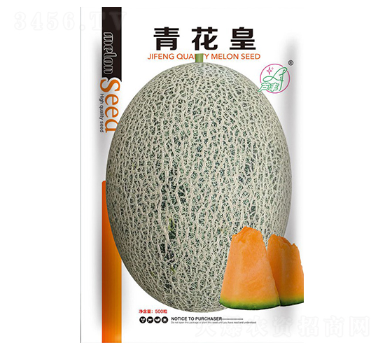 �໨��-�������-������ҵ
