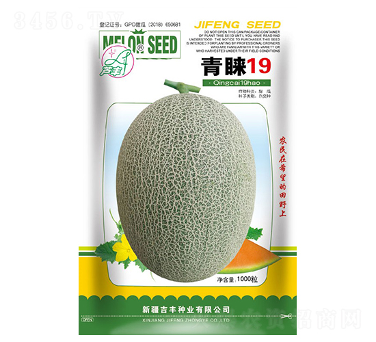 ����19-�������-������ҵ