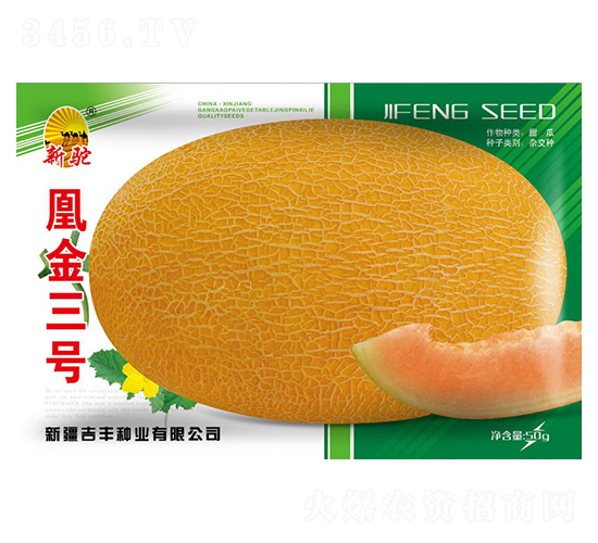 �˽�����-�������-������ҵ