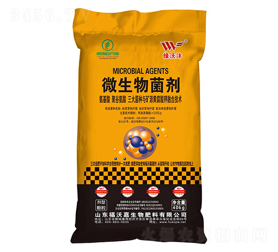 40kg΢�������-���ּ�-����ũ��