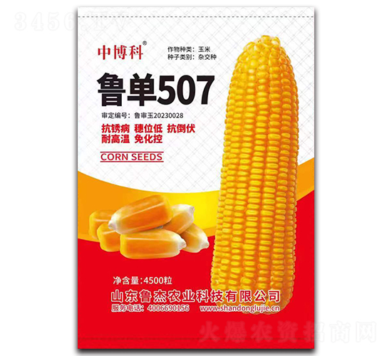 ³��507��������-�в���-³��ũҵ