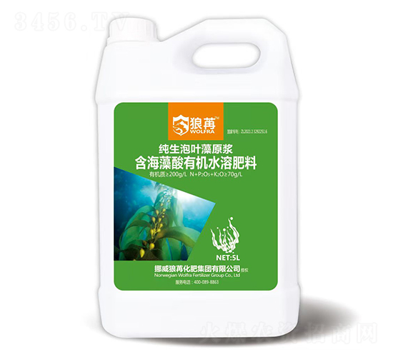 5L������Ҷ��ԭ��-����