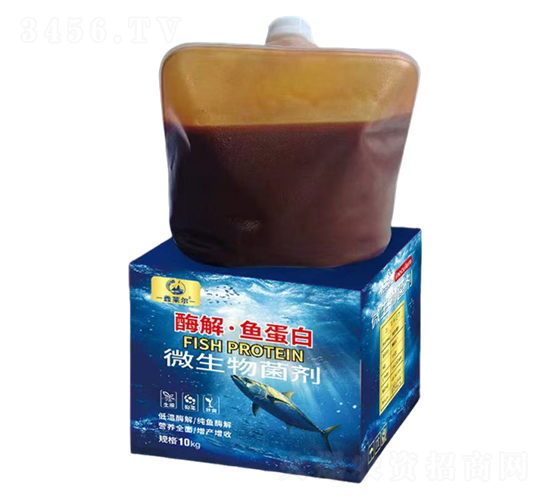 ø�⡤�㵰��΢�������-������
