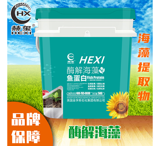 ø�⺣���㵰�ף�5kg��-����