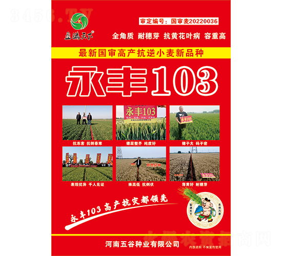 ����103С������-ӯ������-�����ҵ
