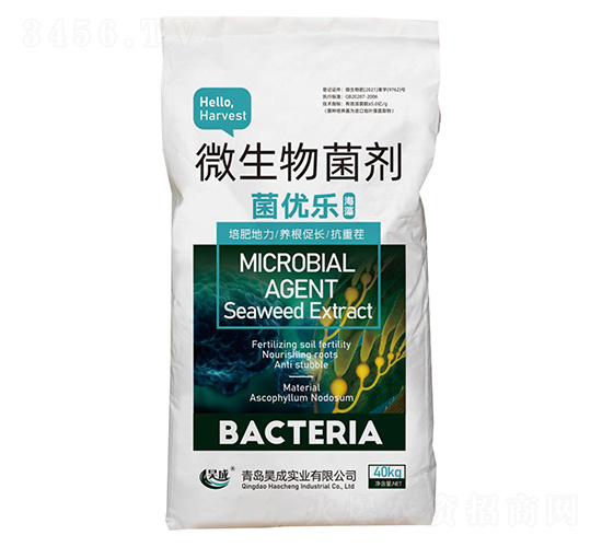 ����΢�������-������-껳�ʵҵ