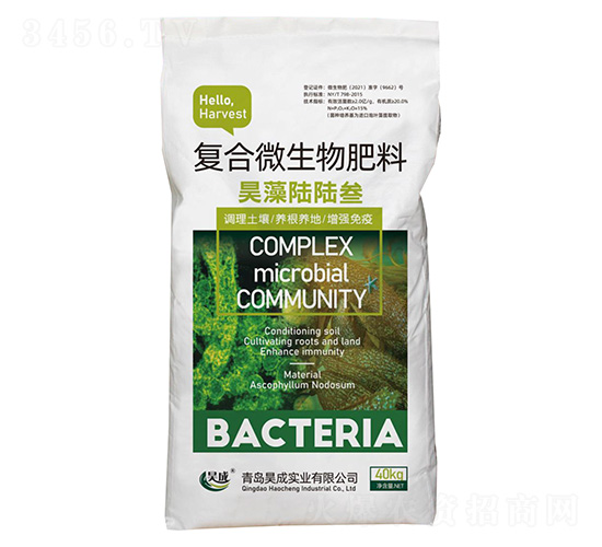 ����΢�������-���½½��-껳�ʵҵ