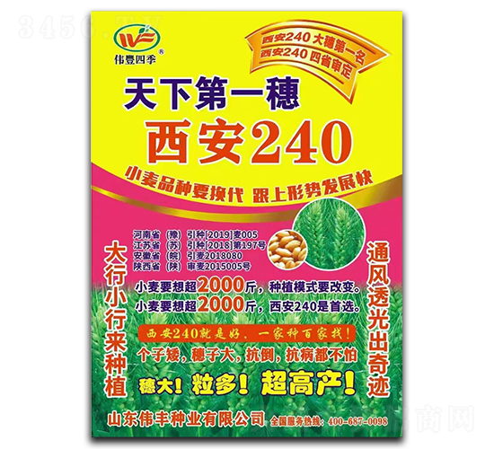 ����240-С������-ΰ����ҵ