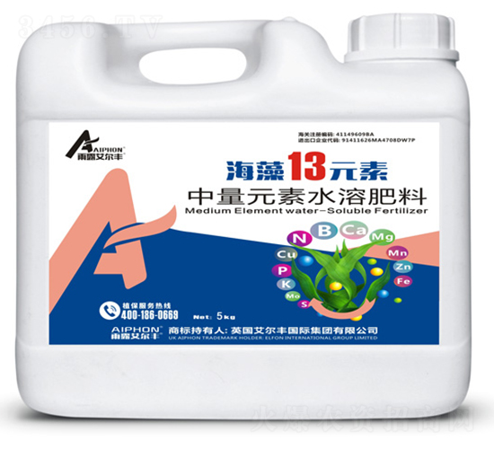 ����13Ԫ��-��¶������