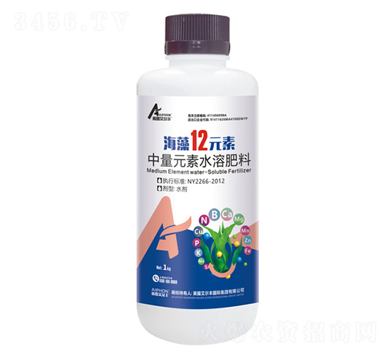 ����12Ԫ��-������-��¶������