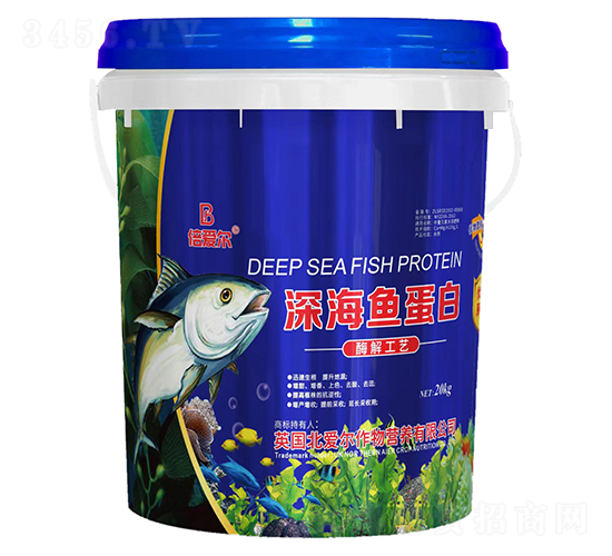 ��㵰��-������-������