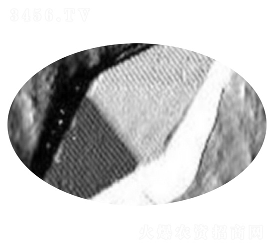 ΢����Bt���̾���-G033A-����������